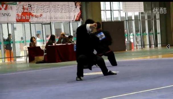 第5界世界传统武术锦标赛陈式太极拳冠军刘凯