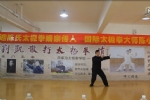 世界锦标赛太极拳冠军--刘凯演练 陈氏十九式